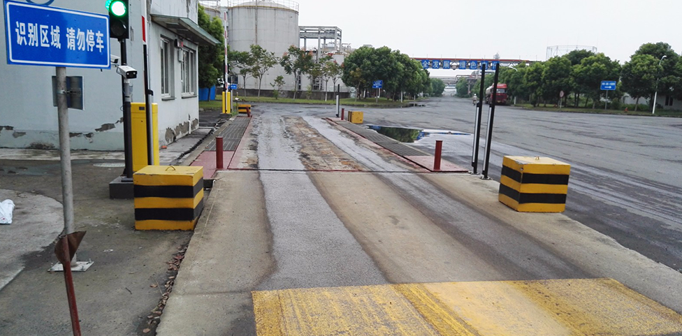 91免费视频APP污