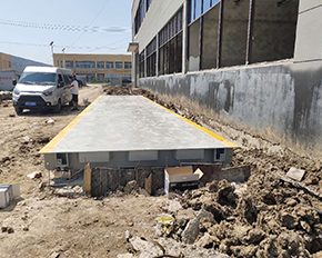 91免费看片的网址