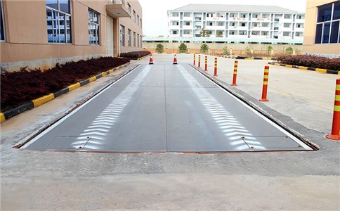 91免费看片的网址